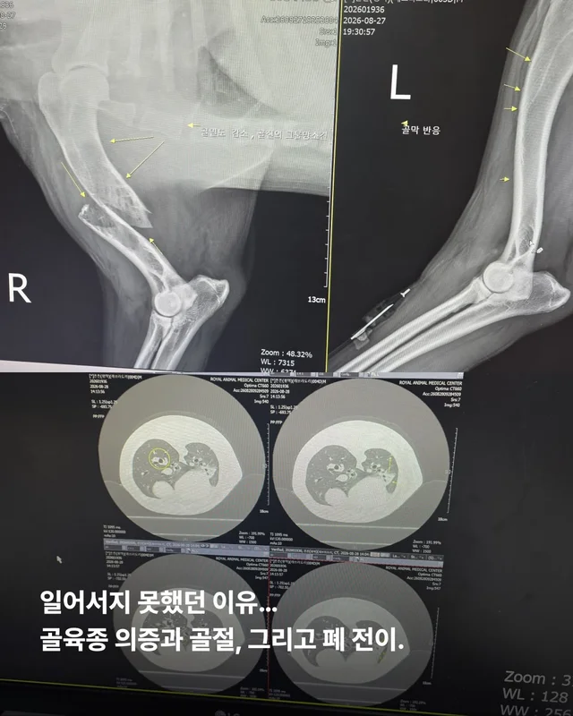 세찬 물살 속에서 온몸으로 8시간을 버텨낸 아이 현장 사진