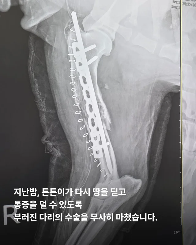 세찬 물살 속에서 온몸으로 8시간을 버텨낸 아이 현장 사진