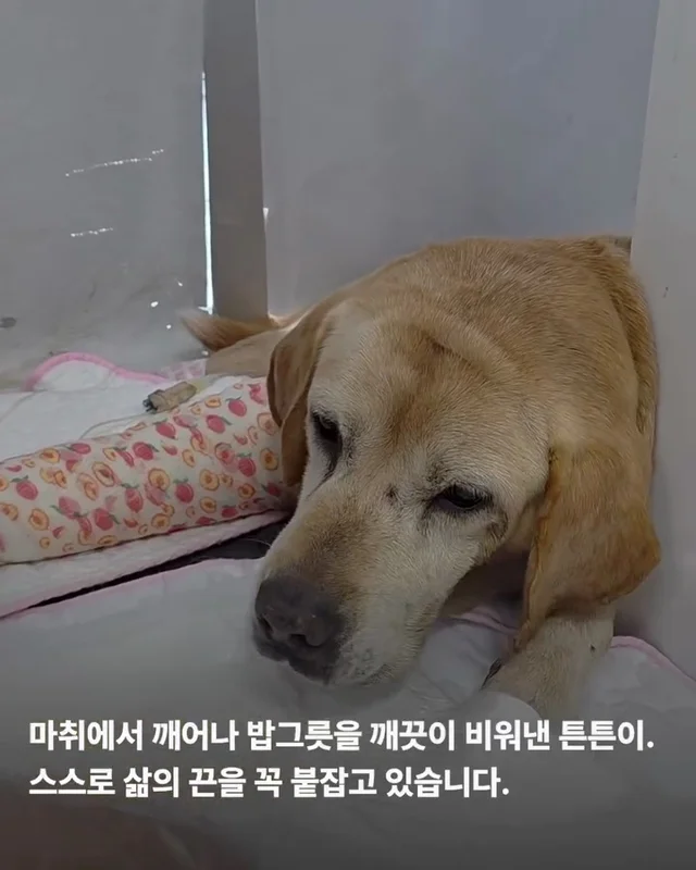 세찬 물살 속에서 온몸으로 8시간을 버텨낸 아이 현장 사진