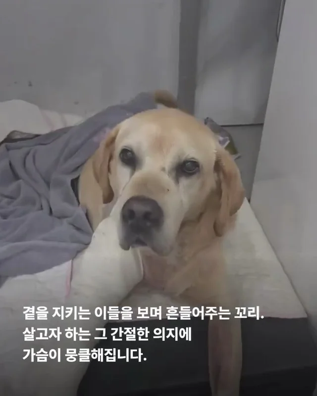 세찬 물살 속에서 온몸으로 8시간을 버텨낸 아이 현장 사진