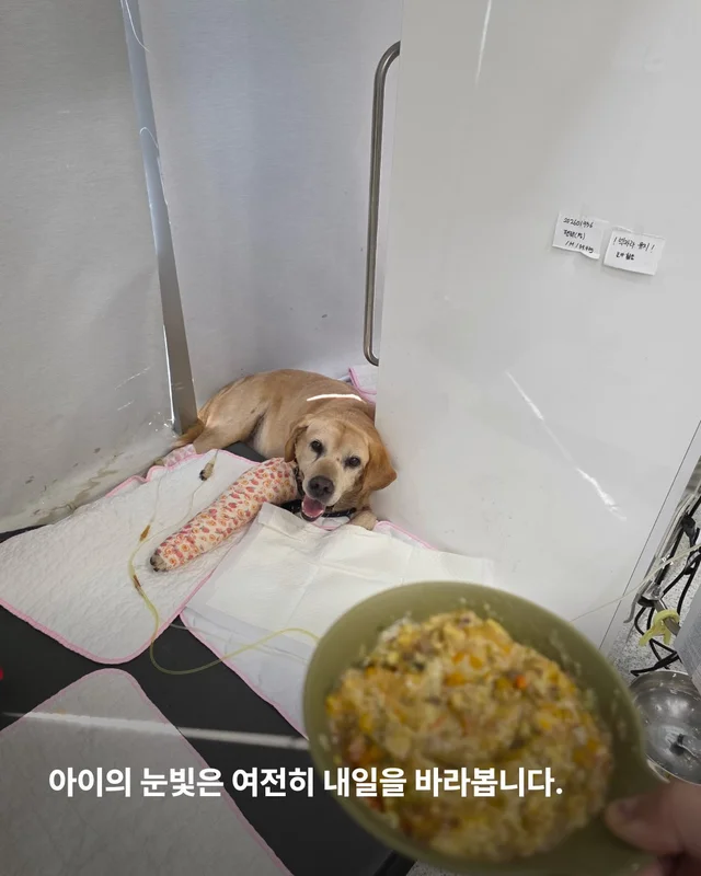 세찬 물살 속에서 온몸으로 8시간을 버텨낸 아이 현장 사진