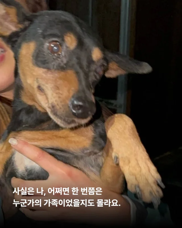 사실은 나… 집도 손길도 익숙해요. #위액트두쿠 #위.. 현장 사진