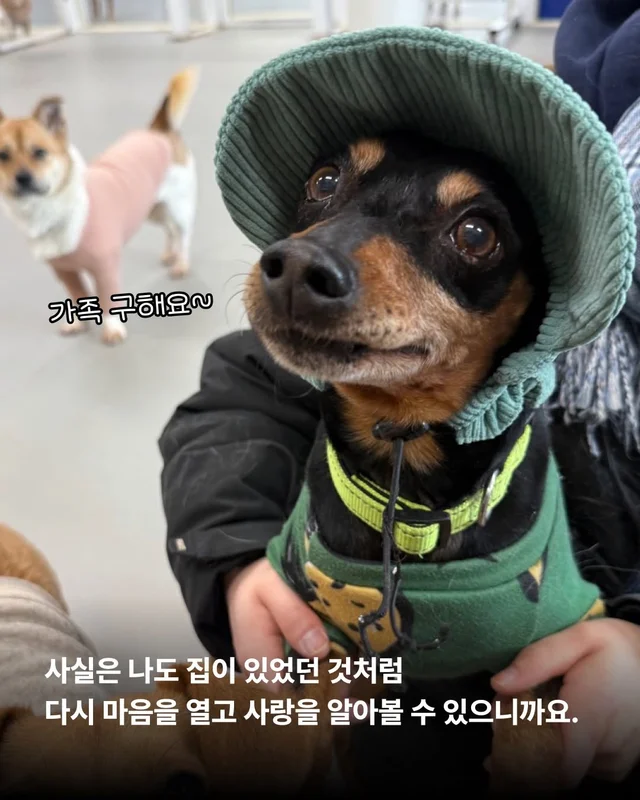사실은 나… 집도 손길도 익숙해요. #위액트두쿠 #위.. 현장 사진