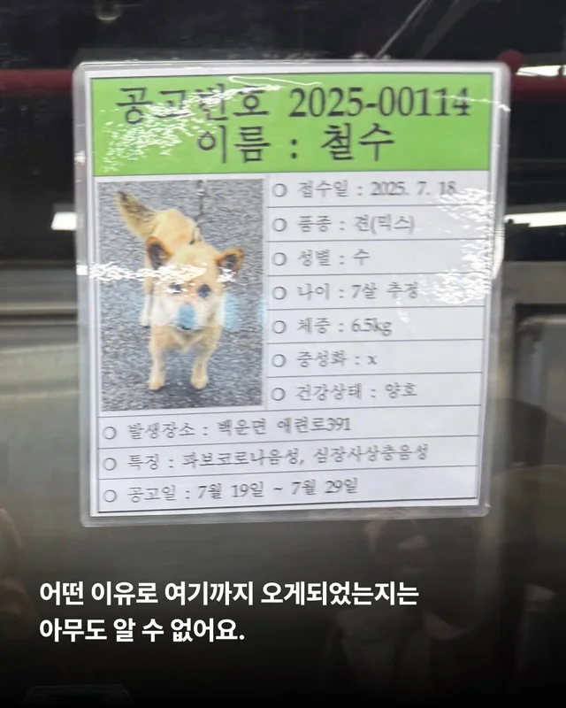 사실은 나… 집도 손길도 익숙해요. #위액트두쿠 #위.. 현장 사진