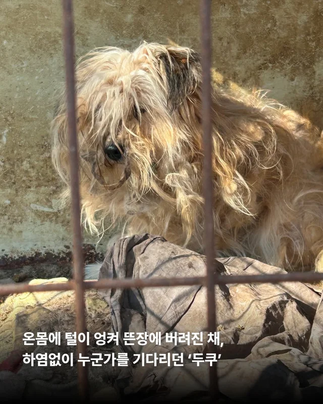 사실은 나… 집도 손길도 익숙해요. #위액트두쿠 #위.. 현장 사진