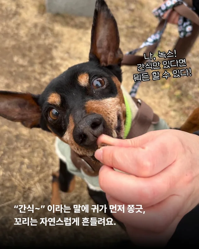 사실은 나… 집도 손길도 익숙해요. #위액트두쿠 #위.. 현장 사진