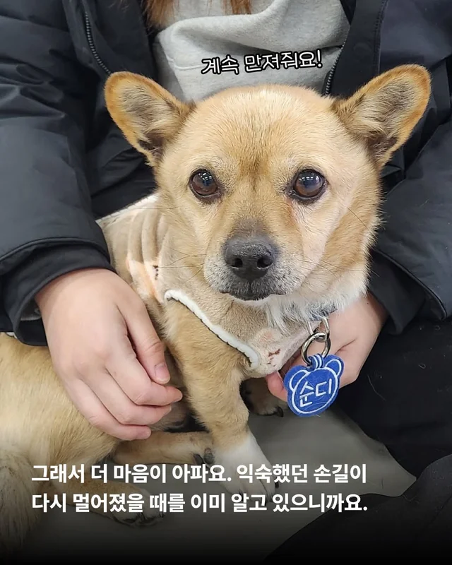사실은 나… 집도 손길도 익숙해요. #위액트두쿠 #위.. 현장 사진