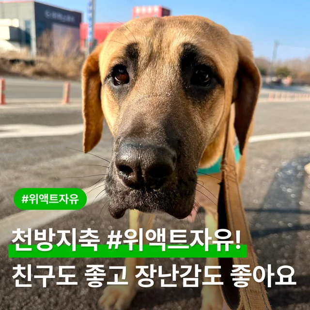 천방지축 #위액트자유! 친구도 좋고 장난감도 좋아요! 현장 사진