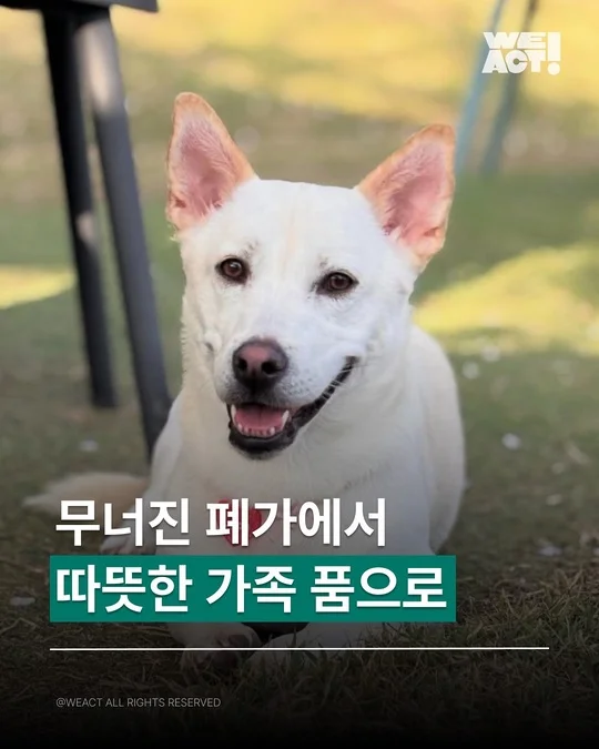 무너진 폐가에서, 따뜻한 가족 품으로 현장 사진