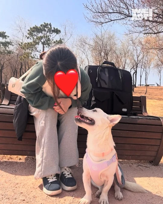 무너진 폐가에서, 따뜻한 가족 품으로 현장 사진