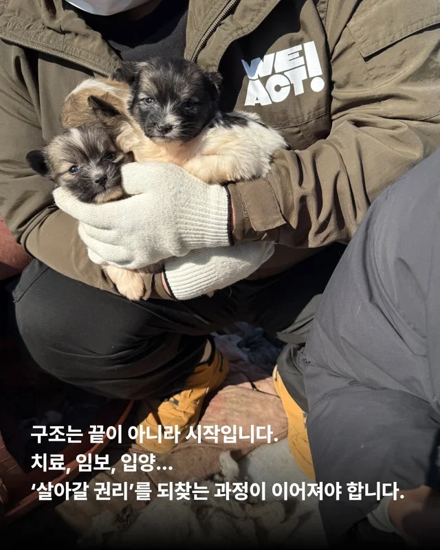 후회스럽습니다. #대전옥상방치견 현장 사진