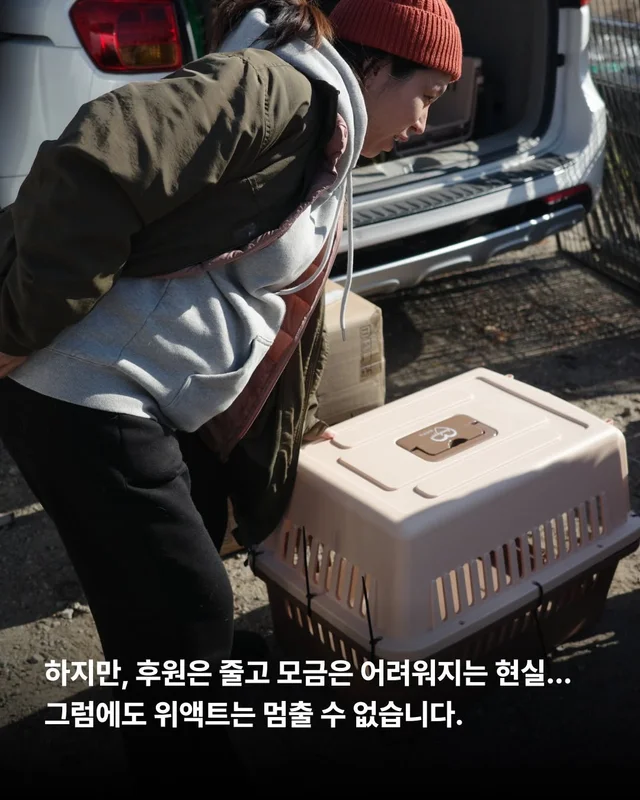 후회스럽습니다. #대전옥상방치견 현장 사진
