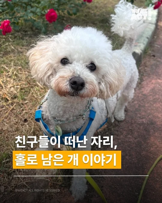 성주허가번식장-위액트 비타 현장 사진