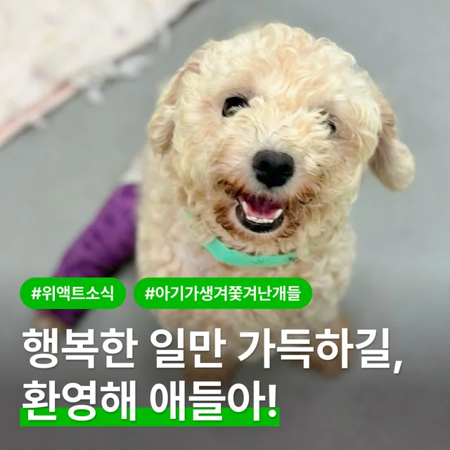 행복한 일만 가득하길! 환영해 애들아! 현장 사진