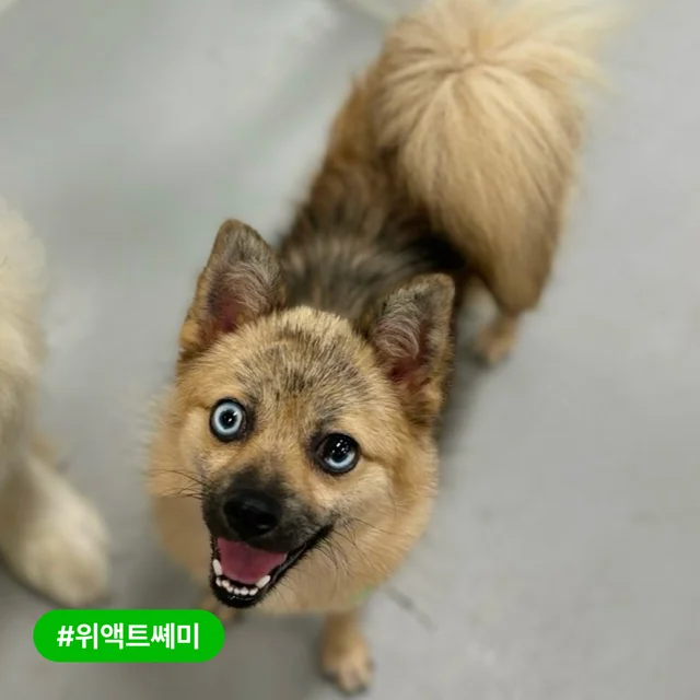 행복한 일만 가득하길! 환영해 애들아! 현장 사진