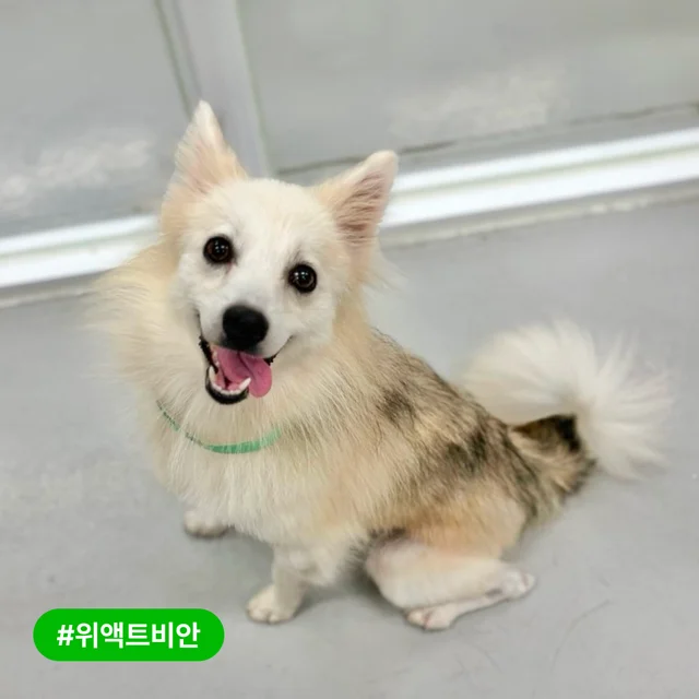 행복한 일만 가득하길! 환영해 애들아! 현장 사진