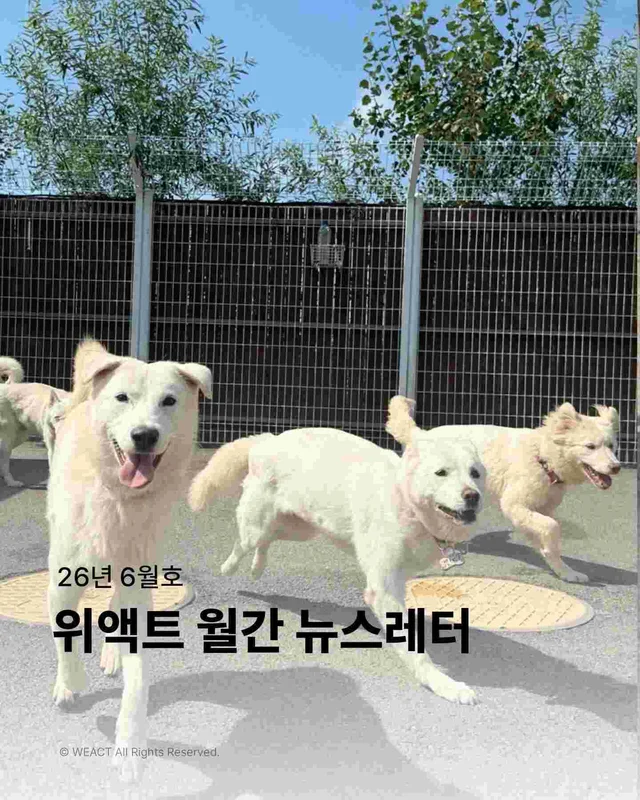 월간위액트 6월호 현장 사진