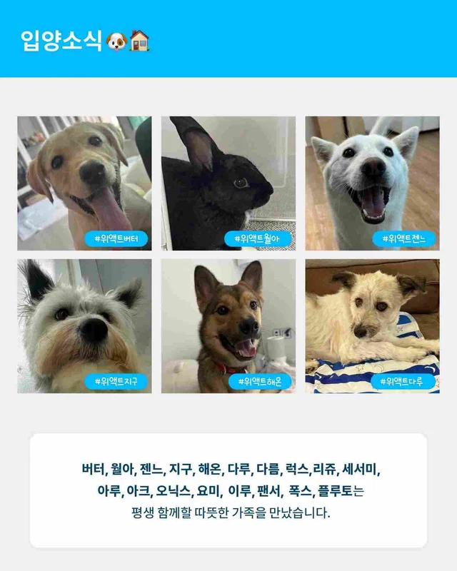 월간위액트 6월호 현장 사진