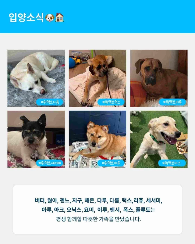 월간위액트 6월호 현장 사진