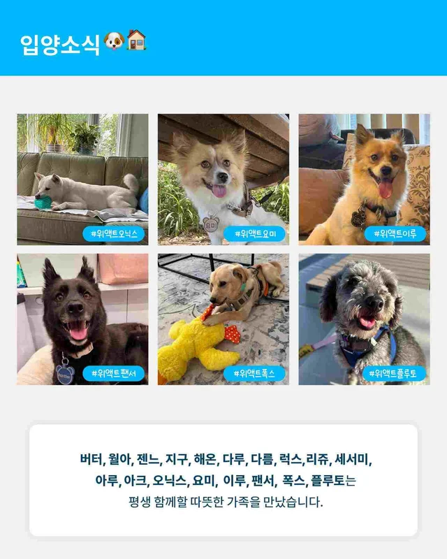 월간위액트 6월호 현장 사진