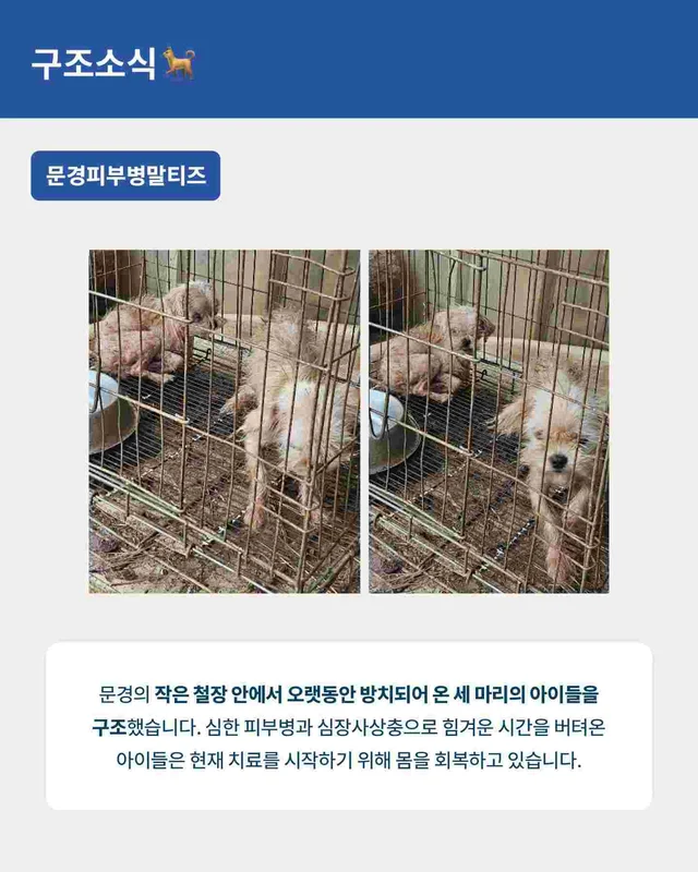 월간위액트 6월호 현장 사진