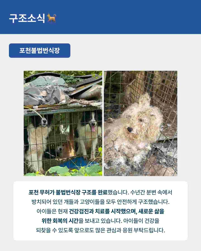 월간위액트 6월호 현장 사진