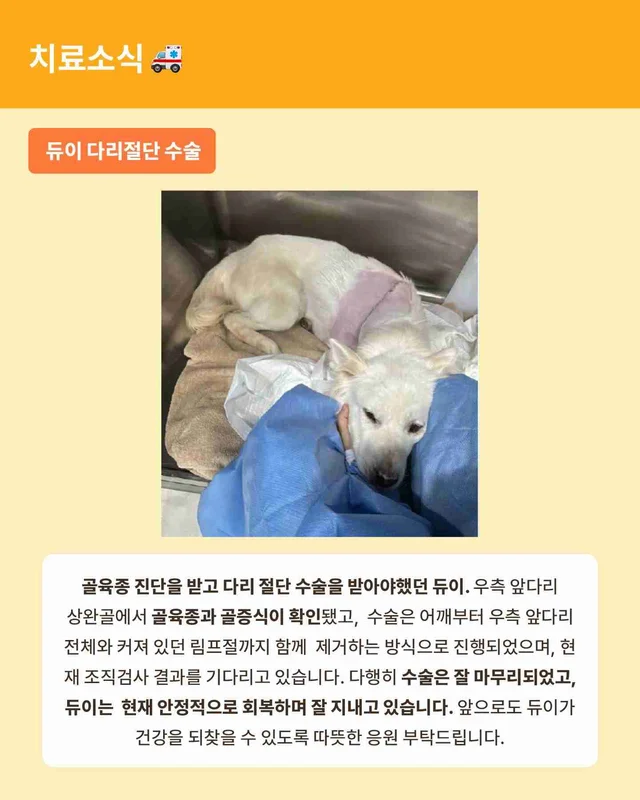 월간위액트 6월호 현장 사진