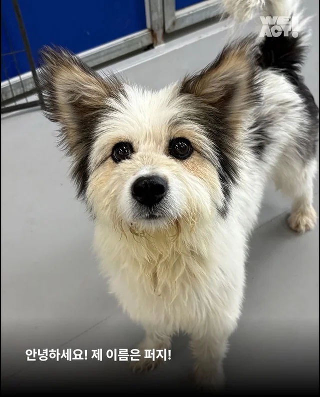 위액트 퍼지 현장 사진