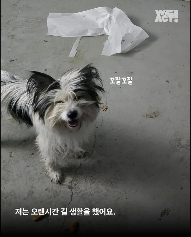 위액트 퍼지 현장 사진