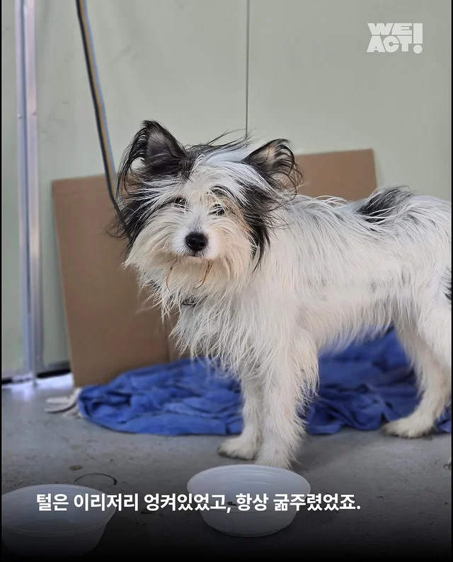 위액트 퍼지 현장 사진