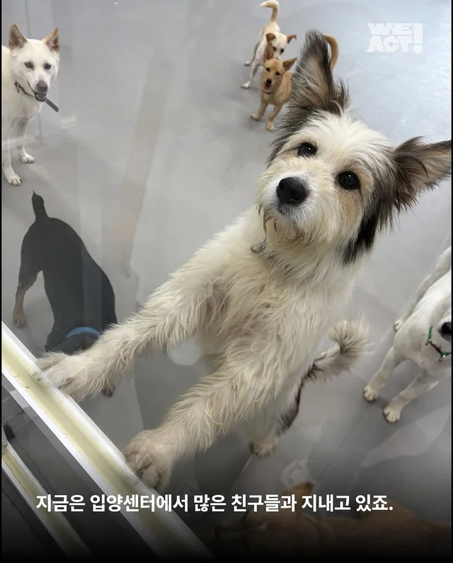 위액트 퍼지 현장 사진