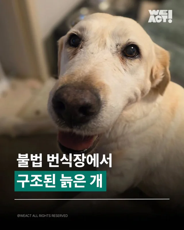 몇번이고 다시 일어나! 위액트후후 소식 현장 사진