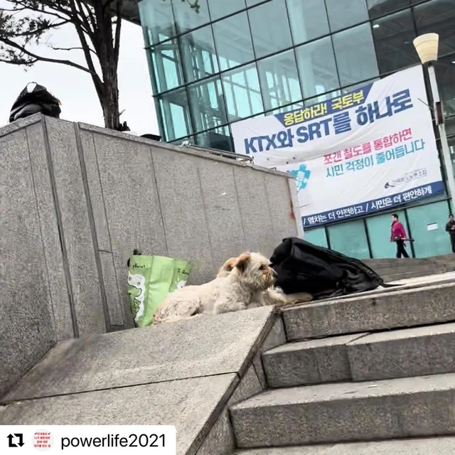 서울역아이들 현장 사진