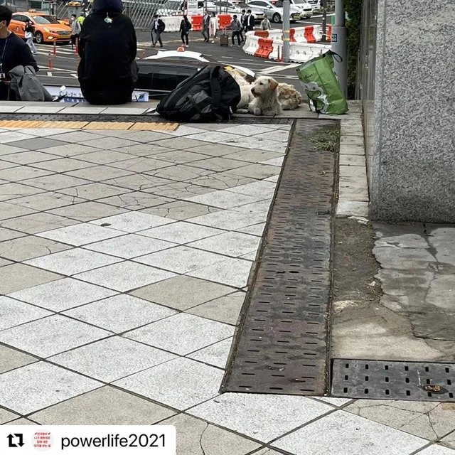 서울역아이들 현장 사진