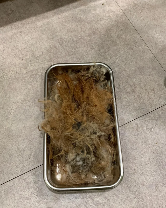외양간에방치된아이들 현장 사진