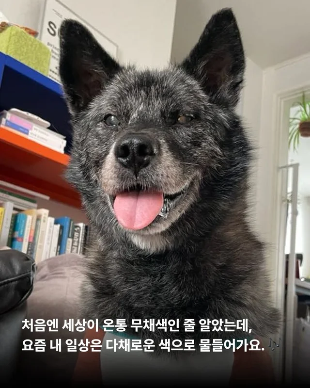 대프니 임보생활2탄 현장 사진