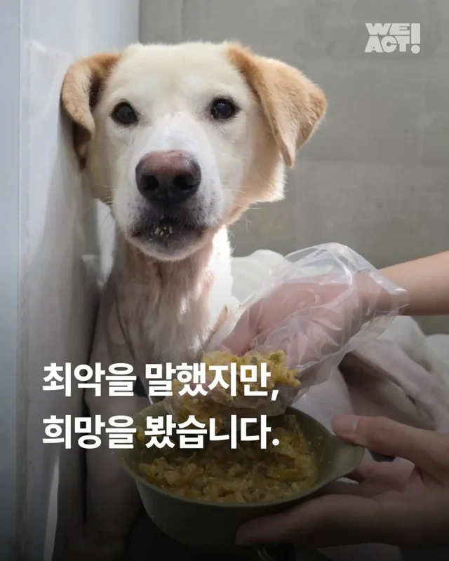 최악을 말했지만 희망을 보았습니다 현장 사진