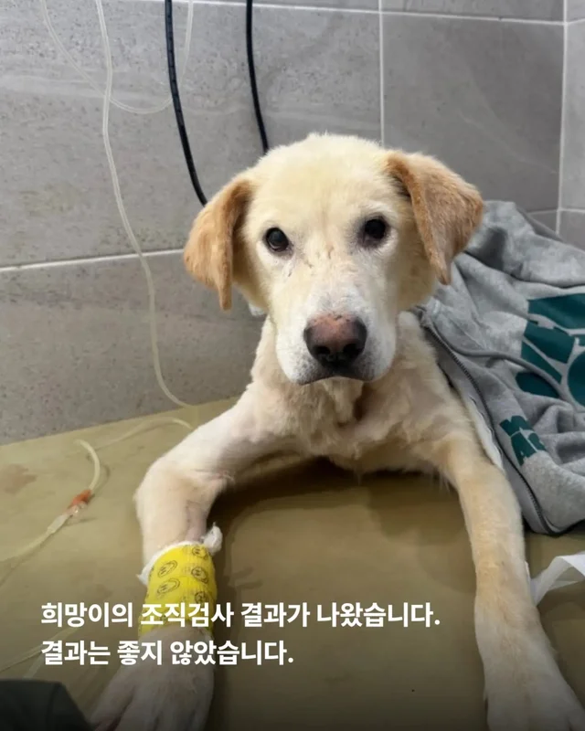최악을 말했지만 희망을 보았습니다 현장 사진
