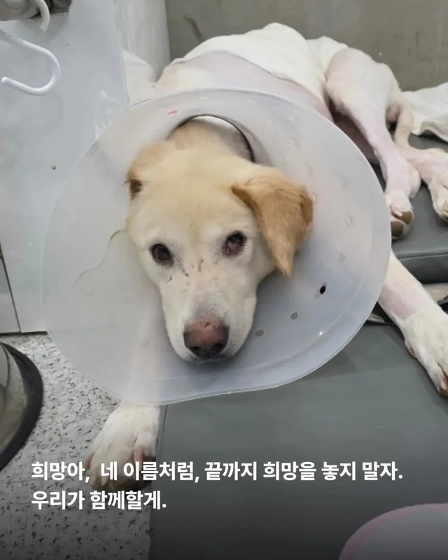 최악을 말했지만 희망을 보았습니다 현장 사진