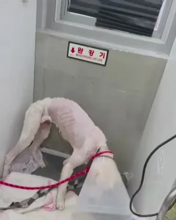 최악을 말했지만 희망을 보았습니다 현장 사진