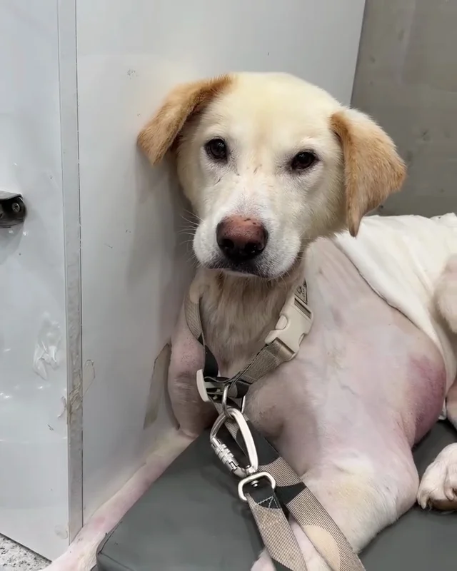 최악을 말했지만 희망을 보았습니다 현장 사진