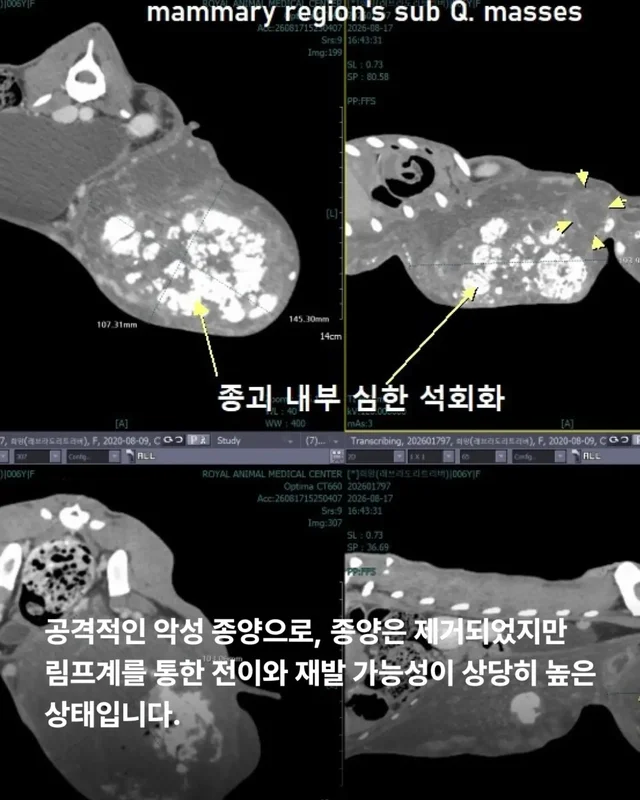 최악을 말했지만 희망을 보았습니다 현장 사진