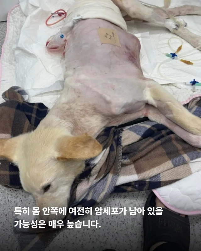 최악을 말했지만 희망을 보았습니다 현장 사진