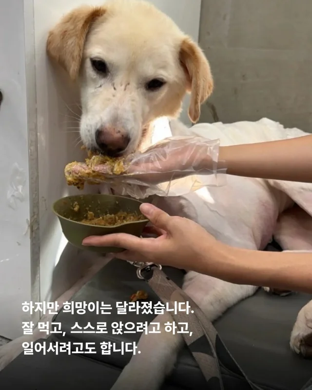 최악을 말했지만 희망을 보았습니다 현장 사진
