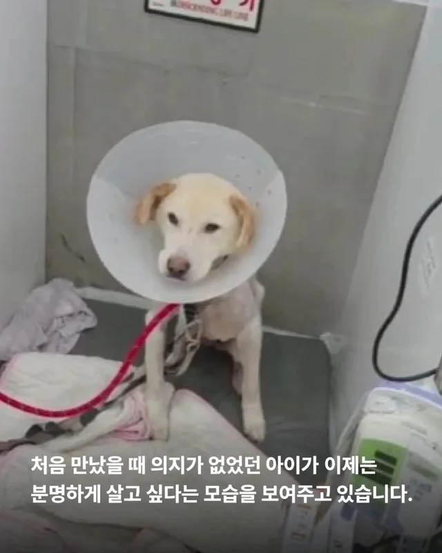 최악을 말했지만 희망을 보았습니다 현장 사진