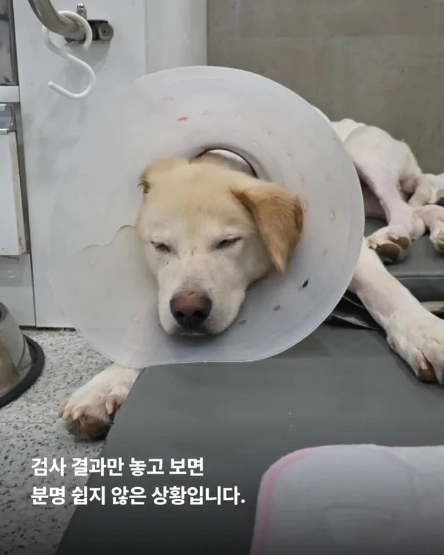 최악을 말했지만 희망을 보았습니다 현장 사진