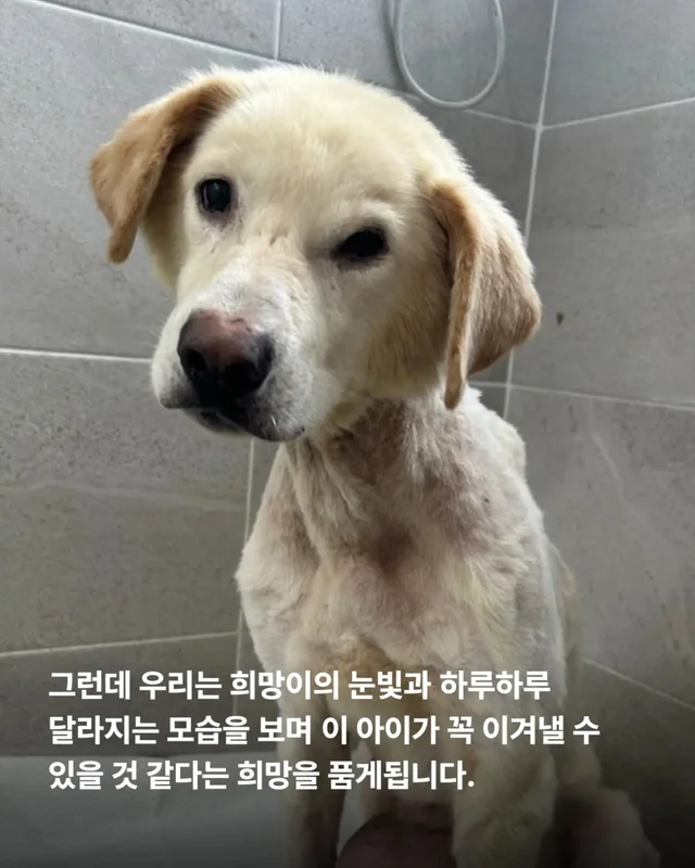 최악을 말했지만 희망을 보았습니다 현장 사진