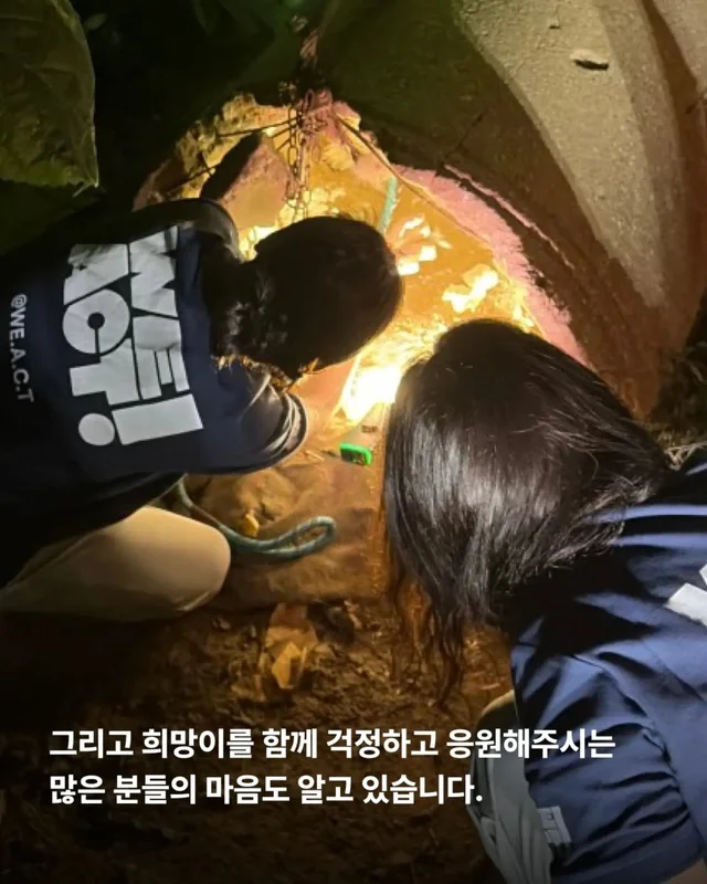 최악을 말했지만 희망을 보았습니다 현장 사진