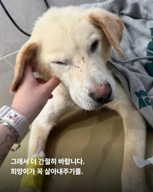 최악을 말했지만 희망을 보았습니다 현장 사진