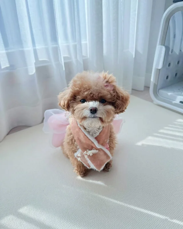 위액트 가족들이 설 연휴를 보내는 방법 현장 사진